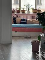 今天偷拍骚妈好刺激，有没有大神教我怎样才能草到她1