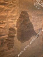 有会调教的帮我出出主意行么?2