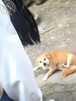 工厂把我辞退了回到老家看见成年的妹妹精虫上脑就把她给强奸了36分钟超值1