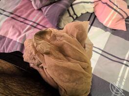 潜入骚比女同事宿舍就有丝袜内裤福利2
