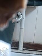 【原创厕拍】阴毛旺盛小骚妇1