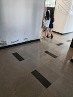 偷怕大学骚逼贱狗2