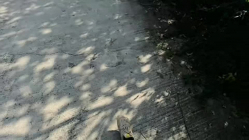 丹夫人母狗做任务