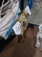 表姐的内裤真香2