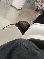 按摩椅的蕾丝脚0