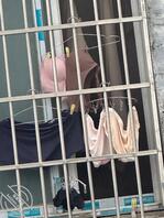 美腿，少妇的新款内衣