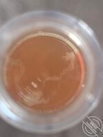 女儿吞入我的精子1