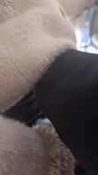 我的骚表姐11