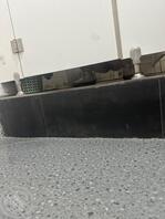 黄岛有没有同好0