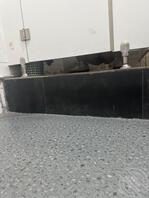 黄岛有没有同好1