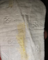 绿母分享怀孕二胎妈妈的内衣，最近应该是没被操2