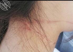 家里的小狗 想听一下评论 1