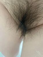 老婆的大屁股和骚逼2