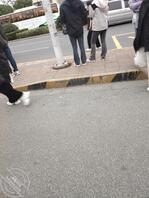 上班路上的风景