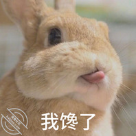 喜欢舔逼，舔屁眼，昆明找熟女阿姨