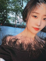 又来分享好东西了