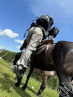 上海25岁单男 高颜 身材棒 善解人意 约炮 喜欢姐姐 少妇 人妻熟女1