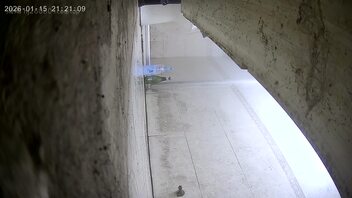 偷拍女同事骚笔洗澡4