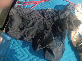 求各位野爹重口辱骂我妈王芳越脏越好别把我妈当人当狗就可以2