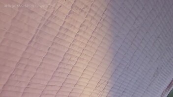 闷骚弟媳妇儿四