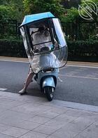 回来了兄弟们！！！