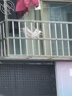 2今日扫街小少妇 浅色内裤 丝袜！1