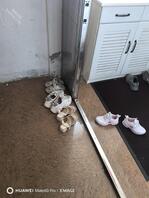 扫楼打胶       母狗老师Day10