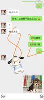 序13:和女儿的聊天日常1