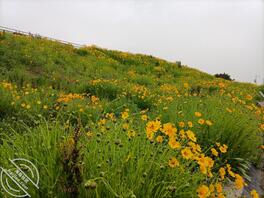青岛市黄岛区，研究生，求偶遇