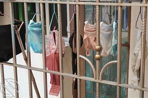 求助 辅警女儿老婆的内衣裤这是今天的 昨天的没拍很性感的一套 想来一发1