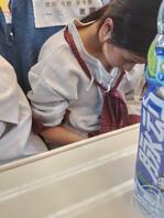 这小海鸥怎么样2