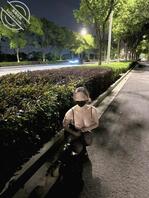 夜晚路上真空露出调教