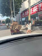 母狗1