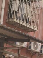 心里痒痒的，可惜处处是监控0