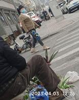 道外江边老头乐1（看看这都是谁的媳妇谁的妈）0