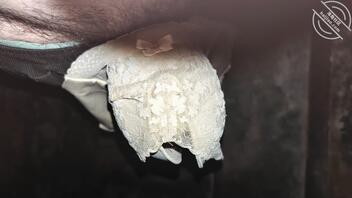 只扫到了少妇的奶罩 深圳太难找了2