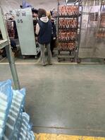 工厂内的骚逼们