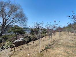 郑大一附院南区 高速路旁 野战好地方