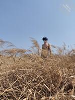 天体爱好，男，荒草地露出1