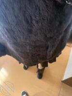 【原创】3.事隔一个月,第二次操我的大奶熟女1