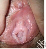 成熟女白领。超级反差的骚婊子2