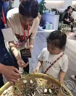 走光2