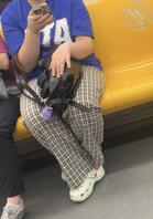 地铁偶遇小坦克，腿和屁股都肉肉的，还是个眼镜妹。2