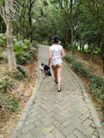 今晚章阁河道露出2