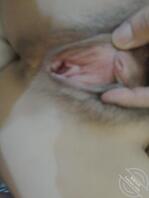 游戏里的人妻cp2