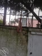 谁的内裤挂在这里没人收走1